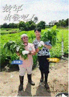 紫夜影视网推荐综艺《乘风破浪的姐姐》